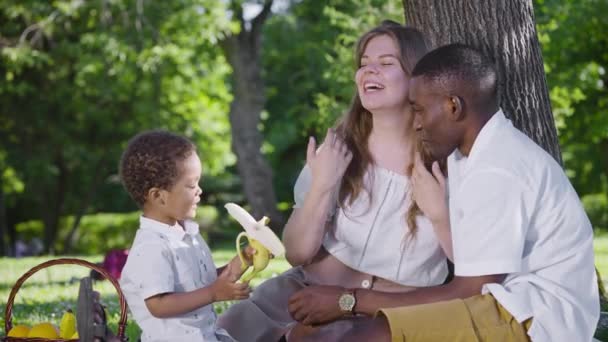 Zwarte vader, eerlijke moeder en mestizo kind in het park. Gelukkige familie op een picknick in het park. Vreugde. — Stockvideo