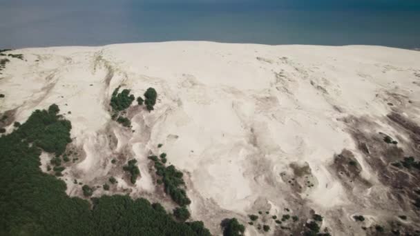 Curonian Spit, bukit pasir Efa. Fantastik lega menggabungkan gurun, vegetasi dan laut. — Stok Video