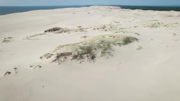Spit Curoniano, duna di Efa. Una duna di sabbia è delimitata da una foresta. — Video Stock