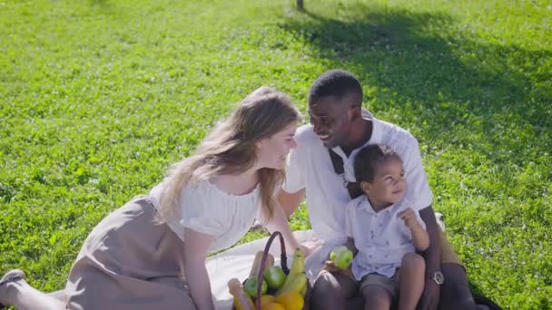 Eine niedliche multikulturelle Familie hatte ein Picknick im Park. Mutter, Vater und Sohn saßen auf einer Decke neben einem Korb mit Lebensmitteln. — Stockvideo