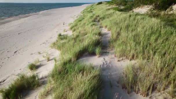 Vista aérea. Pintoresco paisaje de la costa báltica. Día de verano y playa desierta. — Vídeos de Stock