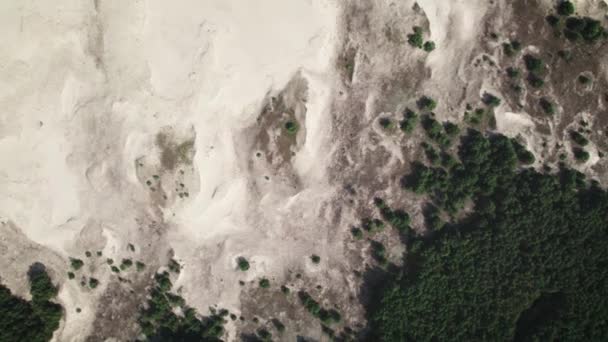 Curonian Spit, bukit pasir Efa. Fantastik lega menggabungkan gurun, vegetasi dan laut. — Stok Video