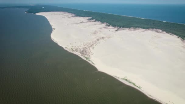 Broche couronnée, dune d'Efa. Une dune de sable est bordée par une forêt. — Video