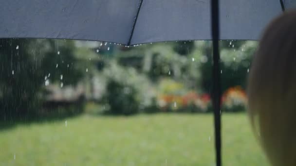 It is raining heavily outside. People use an umbrella in bad weather. — Stock Video