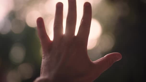 Male hand close up. The sun shines into the camera through the foliage of the trees. — Stock Video