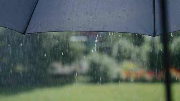 Sommerregen an einem sonnigen Tag. Wassertropfen fließen von der Oberfläche des grauen Schirms herab. — Stockvideo