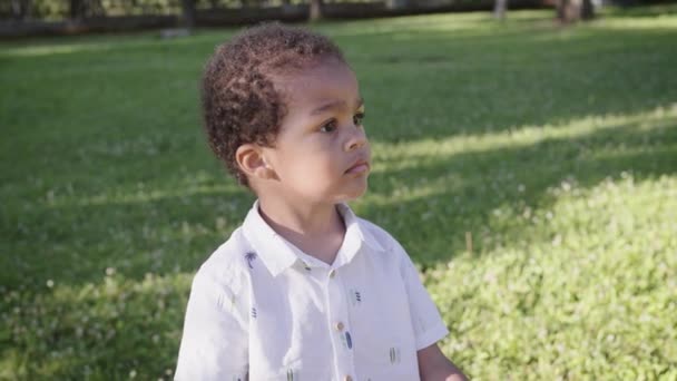 Portretul unui băiat african drăguț în parc . — Videoclip de stoc