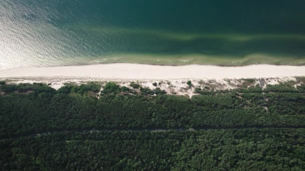 Herrliche Landschaft am Strand der Kurischen Nehrung. Ostseeküste und Wald im Bild — Stockvideo