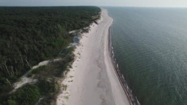 Curonian Spit, hava manzaralı. Orman, sahil ve denizle baş döndürücü doğa.