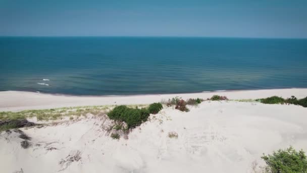 Vackert naturlandskap. Sanddyn nära stranden med buskar och grönska. Sommar — Stockvideo