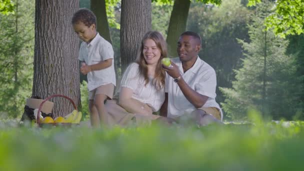 Eine niedliche multikulturelle Familie hatte ein Picknick im Park. Mutter, Vater und Sohn saßen auf einer Decke neben einem Korb mit Lebensmitteln. — Stockvideo