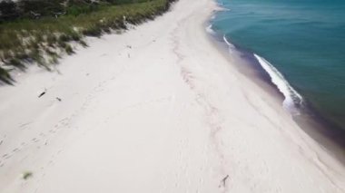Curonian Spit, hava manzaralı. Orman, sahil ve denizle baş döndürücü doğa.