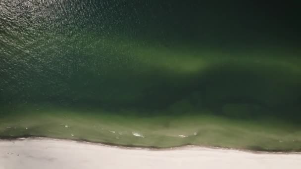 Herrliche Landschaft am Strand der Kurischen Nehrung. Ostseeküste und Wald im Bild — Stockvideo