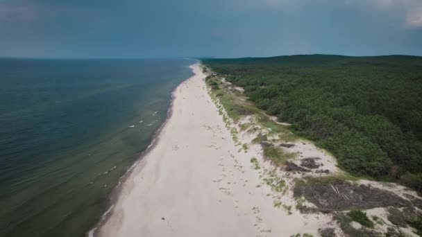 Magnifico paesaggio della spiaggia di Spit Curoniano. Costa Baltica e foresta nella cornice — Video Stock