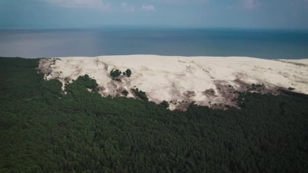 Kurische Nehrung, Luftaufnahme. Atemberaubende Natur mit Wald, Strand und Meer. — Stockvideo