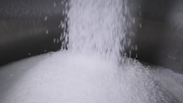 Plastové granule se nalijí do velké nádrže. Výroba polymerních sloučenin. — Stock video