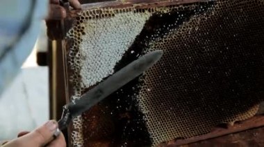 peteğin yapımında bitmemiş canım