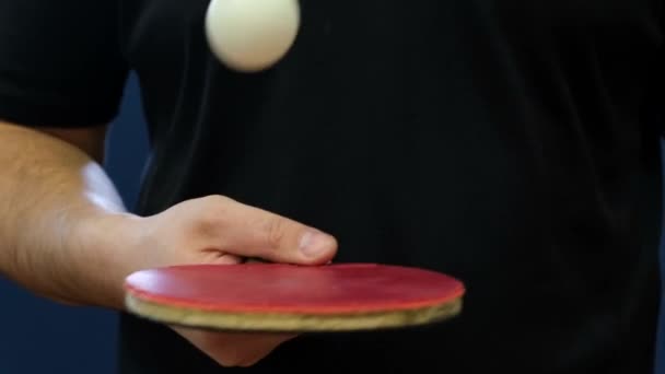 Raquette de tennis de table noire et balle dans les mains des femmes fermer. — Video