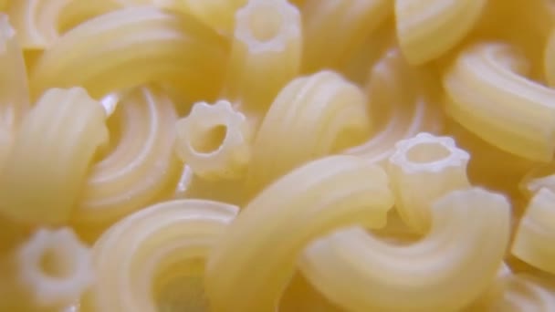 Pasta Maccheroni Integrali Crudi — Video Stock