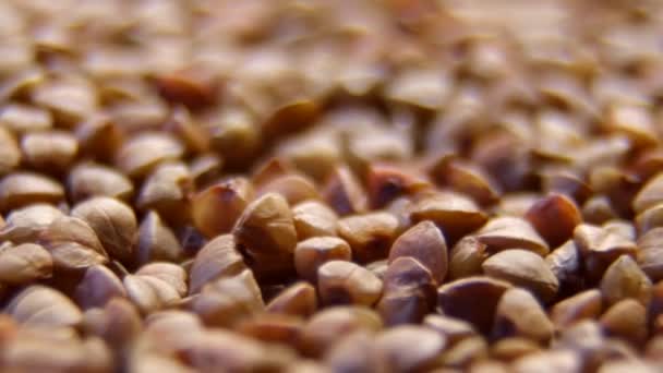 Close-up de trigo sarraceno, rotação, fundo, textura. — Vídeo de Stock