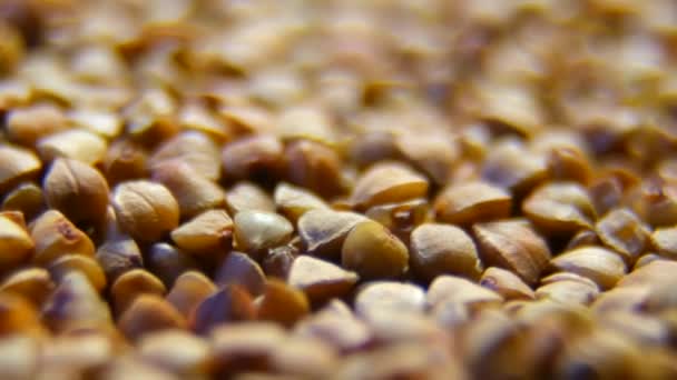 Fondo di grano saraceno. Proprietà utili di grano saraceno. Ingrediente, prodotto, cuoco. — Video Stock