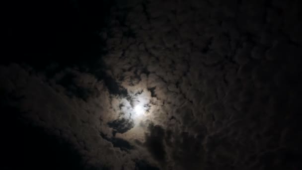 Хронология луны в ночном небе. — стоковое видео
