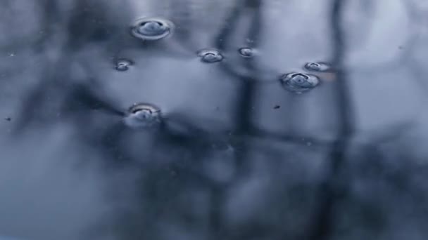 Gotas de água pingam no rio da noite. — Vídeo de Stock