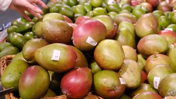 Mãos de mulher escolhendo manga no mercado de frutas. Frutas maduras — Vídeo de Stock