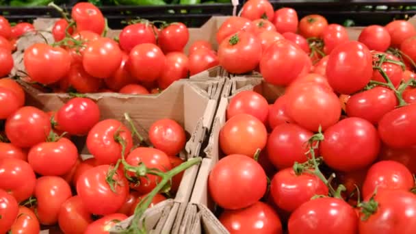 Krásná červená rajčata v supermarketu jsou v prodeji, přírodní produkty — Stock video