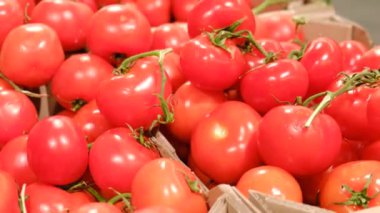 Süpermarketteki güzel kırmızı domatesler indirimde, doğal ürünler.