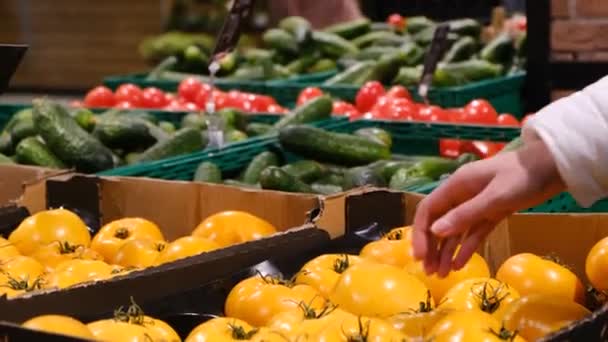 Frau wählt gelbe Tomaten aus Kisten auf dem Markt. — Stockvideo