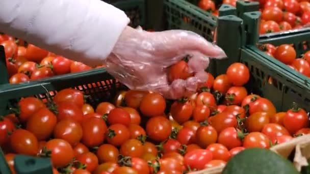 Le mani delle donne scelgono i pomodorini ciliegini al supermercato. — Video Stock