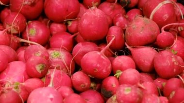 Süpermarketteki raflarda kırmızı turp. Olgun sebzelerin toptan ve perakende satışı. 
