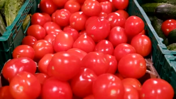 Große rote Tomaten in den Regalen im Supermarkt. — Stockvideo
