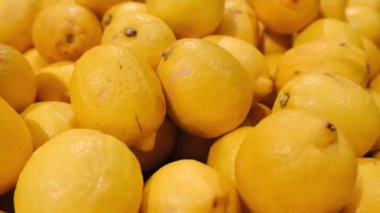 Fruit market. Large ripe lemons.