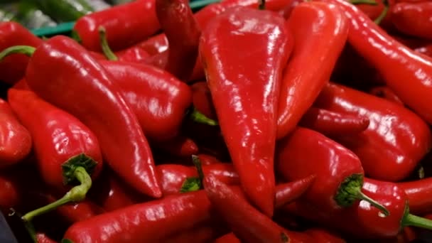 Red pepper on the shelves in the supermarket. Wholesale and retail sale of ripe vegetables. — 비디오