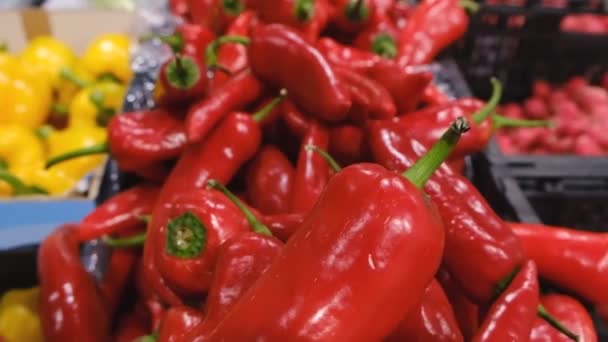 Red pepper close up on vegetable in the market. — Vídeos de Stock