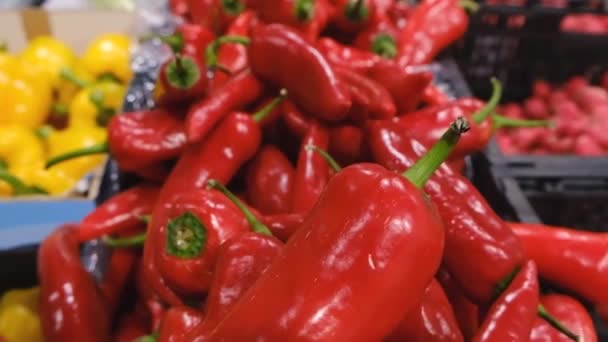 Red pepper close up on vegetable in the market. — Video