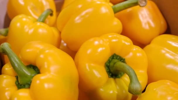 Yellow pepper in a cardboard box, close up — Stok video