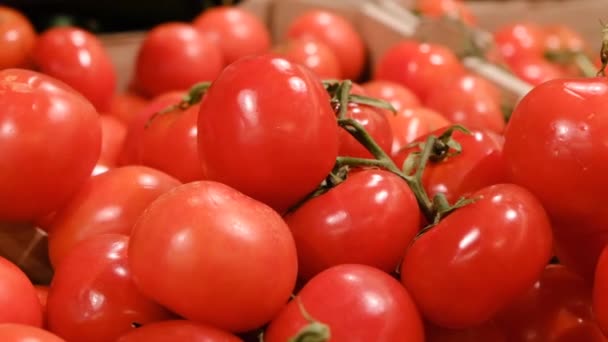 Los tomates en la caja de cartón, cierren — Vídeos de Stock