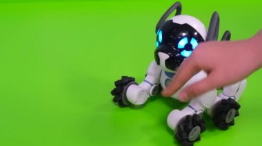 Robot köpek. Modern robot teknolojileri. 
