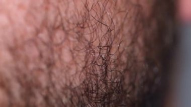 Bir adamın sakalının profilini kapat.