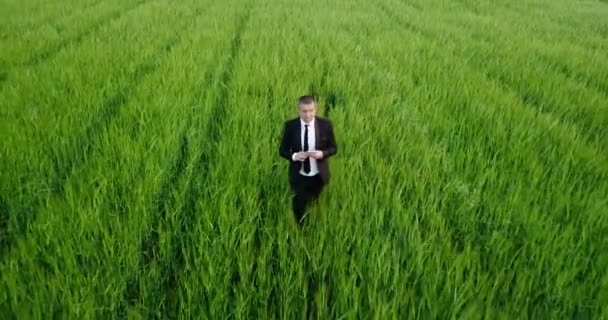 Un joven agrónomo en ropa de negocios inspecciona un campo verde. — Vídeos de Stock