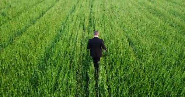 一位穿着西装的农艺师对田地、农业、大麦种植进行检查 — 图库视频影像
