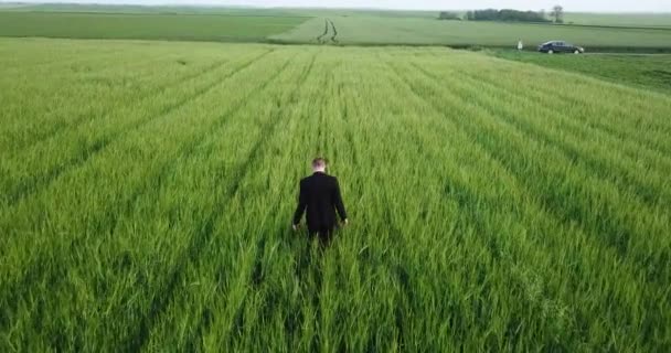 Der Agronom im Anzug geht über landwirtschaftliche Flächen. — Stockvideo