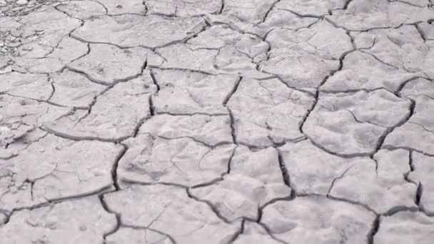 Primo piano del terreno incrinato durante la siccità, terra incrinata. — Video Stock