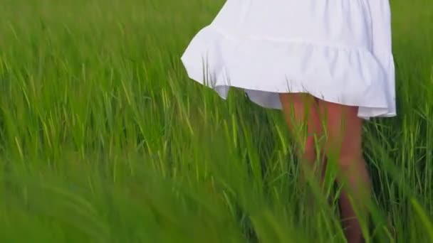 El viento sopla el vestido blanco de una chica de pie en un campo verde. — Vídeos de Stock