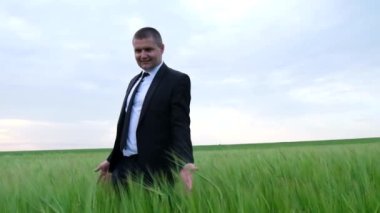 İş adamı. Takım elbiseli bir adam yeşil buğday tarlasında yürür..
