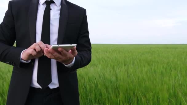 Hombre de negocios con tableta en las manos en el fondo del campo de trigo. — Vídeo de stock