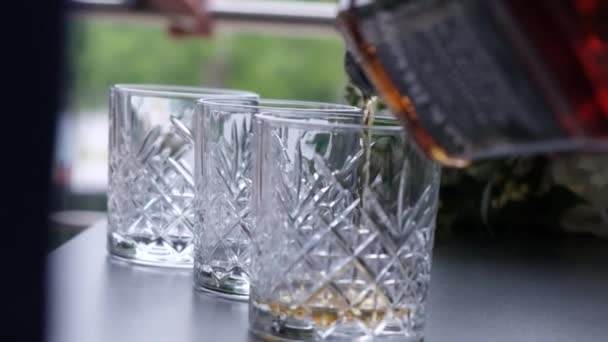 Barkeeper gießt Whiskey, Cognac, Cognac aus der Flasche in Gläser. — Stockvideo